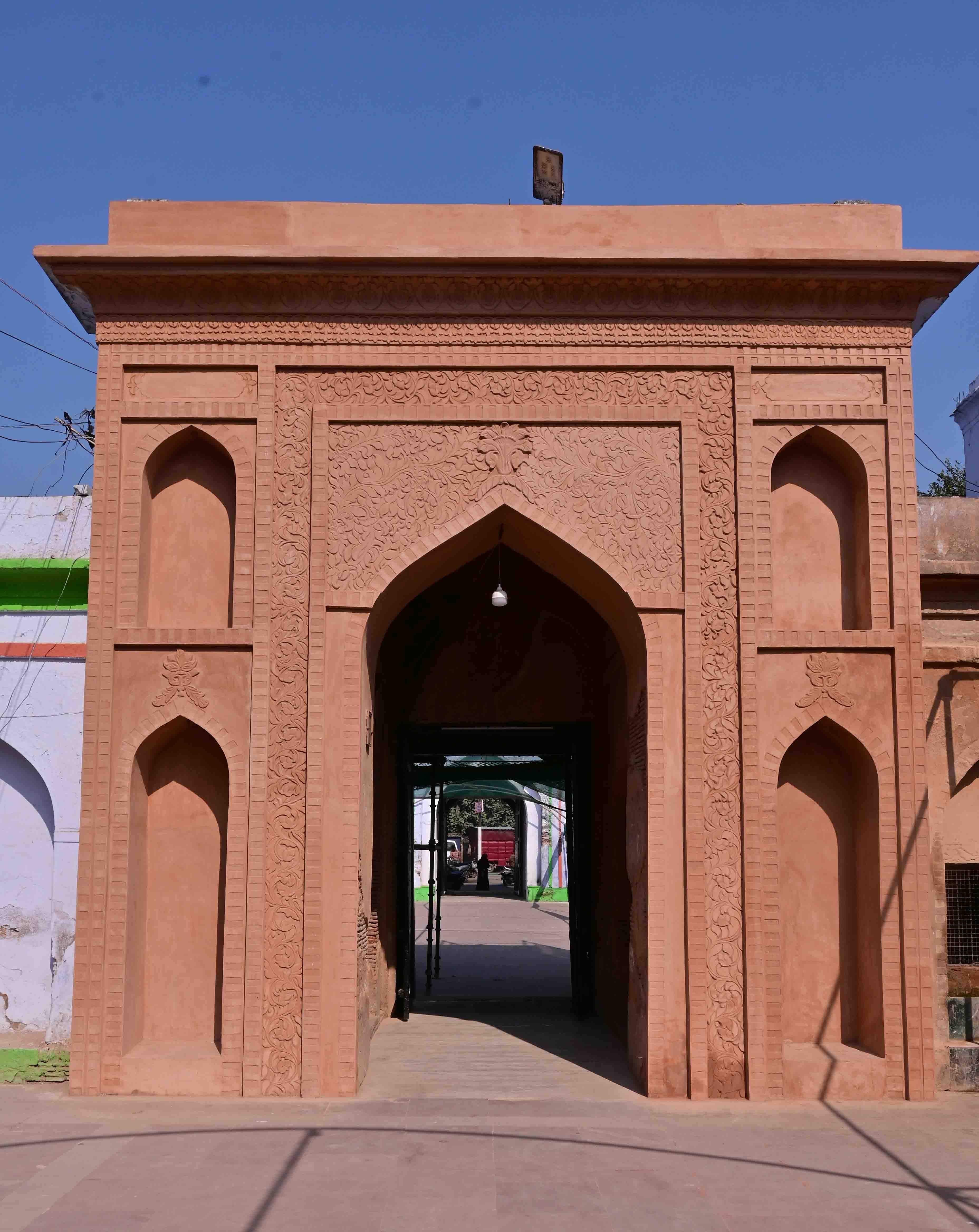 Conservation Work