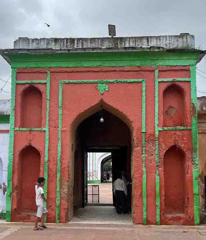 Conservation Work