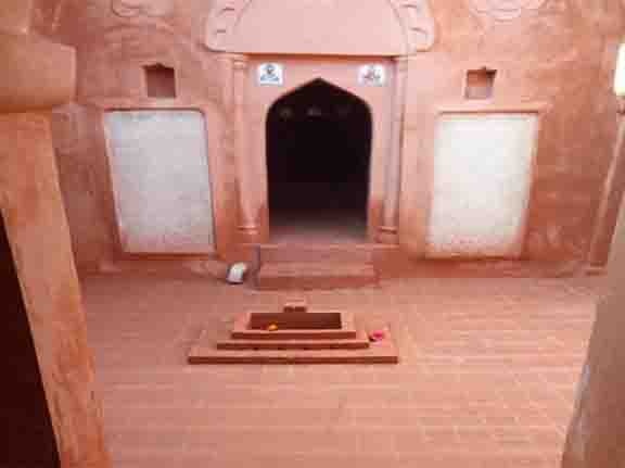 Conservation Work