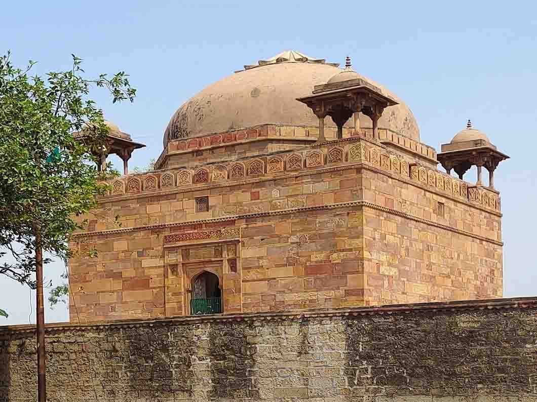 Conservation Work
